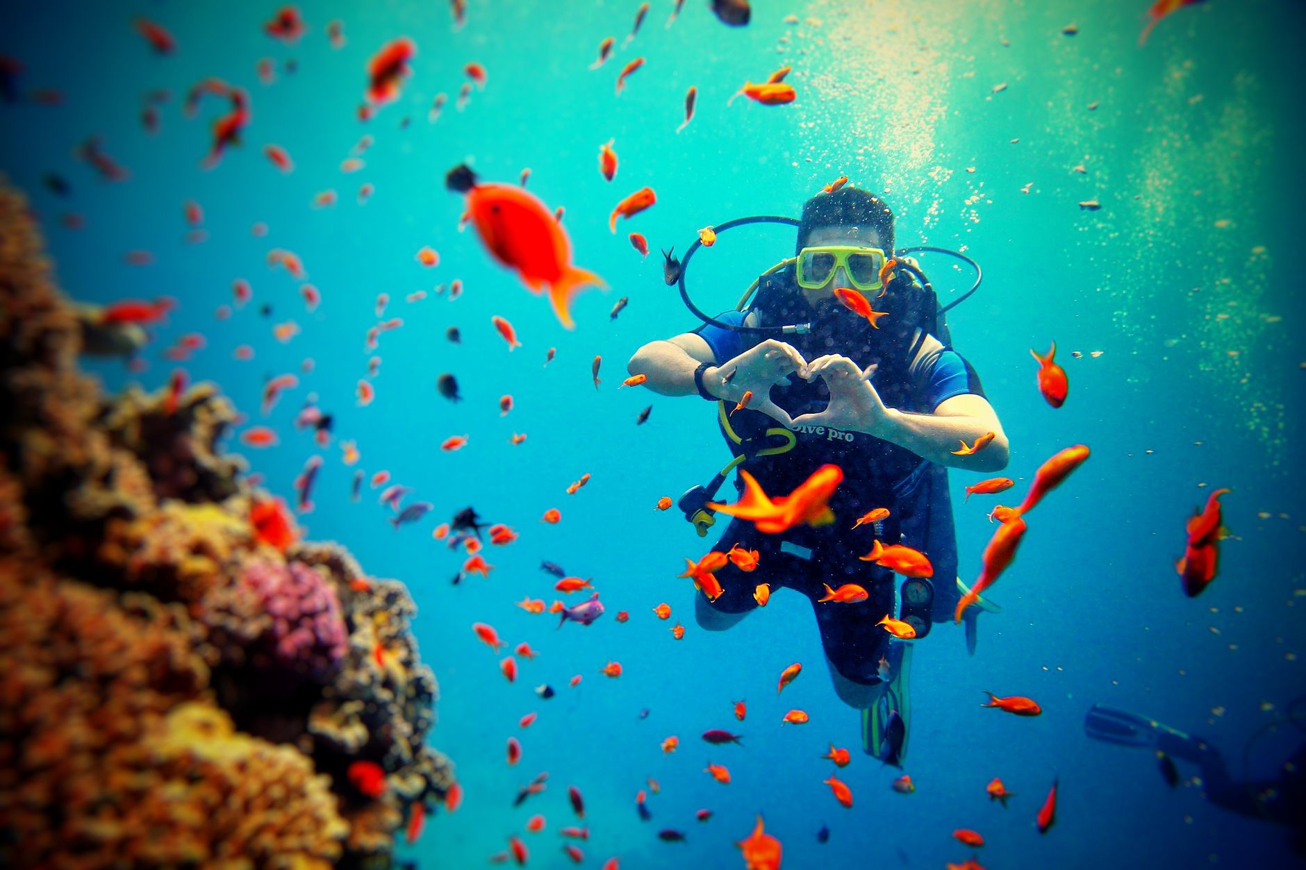 scuba diver exploring vibrant coral reef